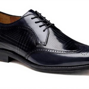 Pavo Monitor Arm Ergonomic Aluminum Desk Mount for